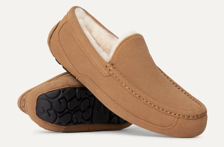 Pair of brown loafers with black soles on a white background